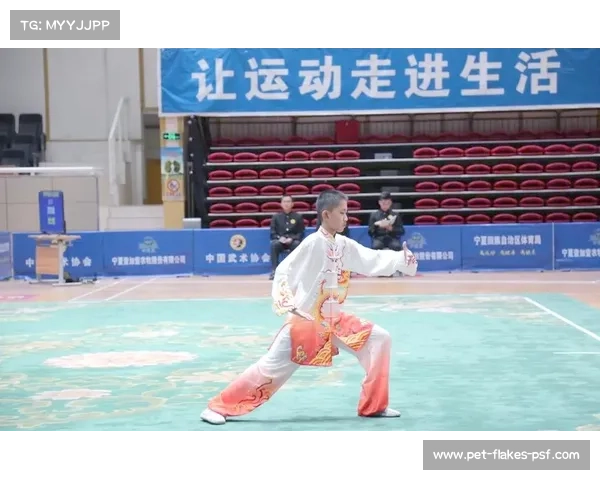 2018武术赛事精彩回顾与全面信息深度解析 2018武术赛事精彩回顾与全面信息深度解析
