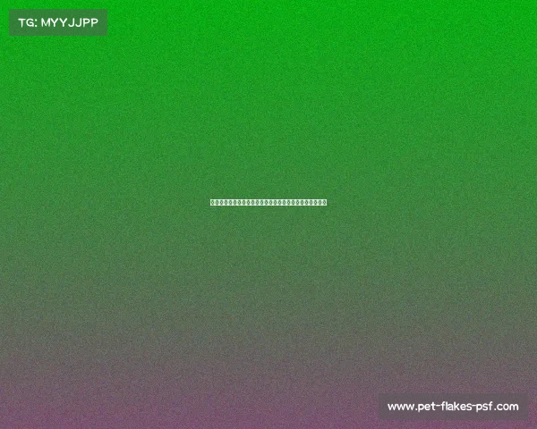 中华咏春拳世界巡回赛震撼开启各路英豪齐聚争夺至高荣耀