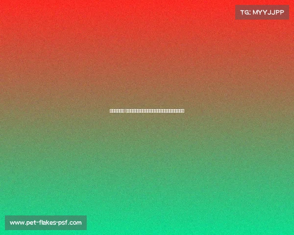 中学申请承办 赛事中学申请承办赛事全过程策略解析与成功案例分析