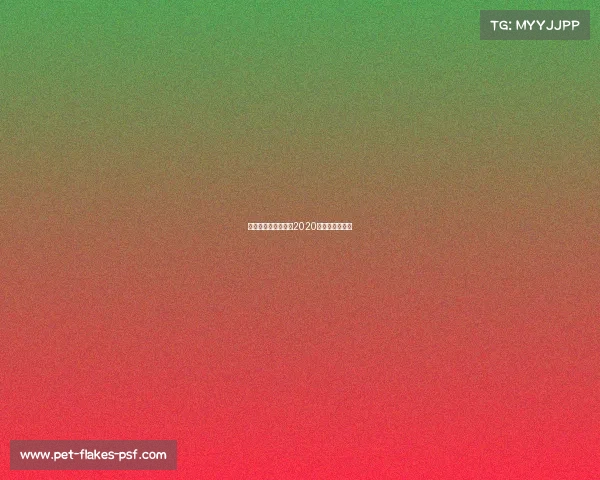 中国武术商业赛事—2020年中国武术比赛