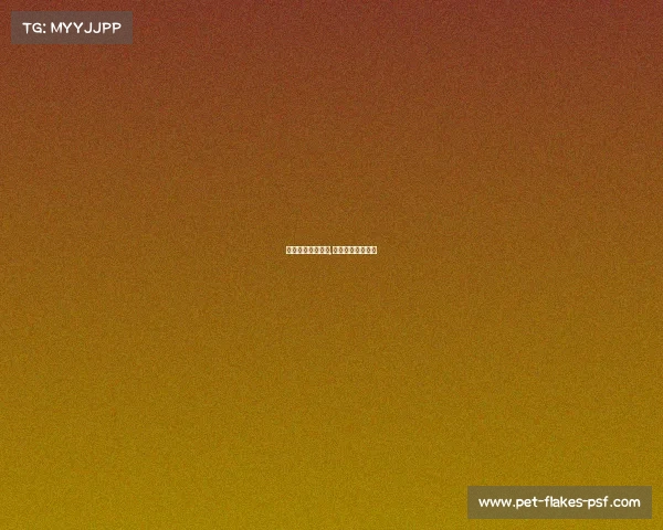 体育赛事数据公司,体育赛事执行公司