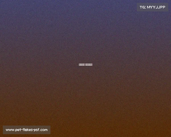 体育赛事 方言怎么说