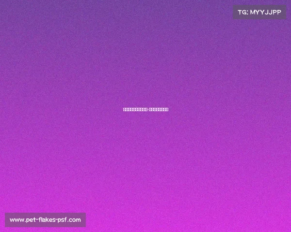 拉塞尔维斯布鲁克赛事-拉塞尔韦斯布鲁克