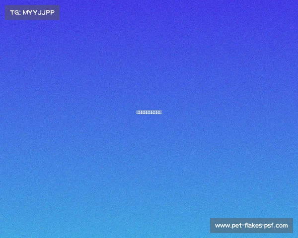 有名的赛事篮球运动员 有名的赛事篮球运动员