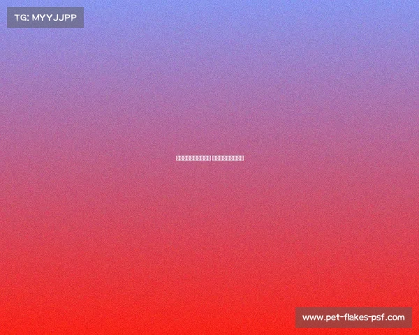 深圳体育运营赛事公司 深圳市体育运营中心