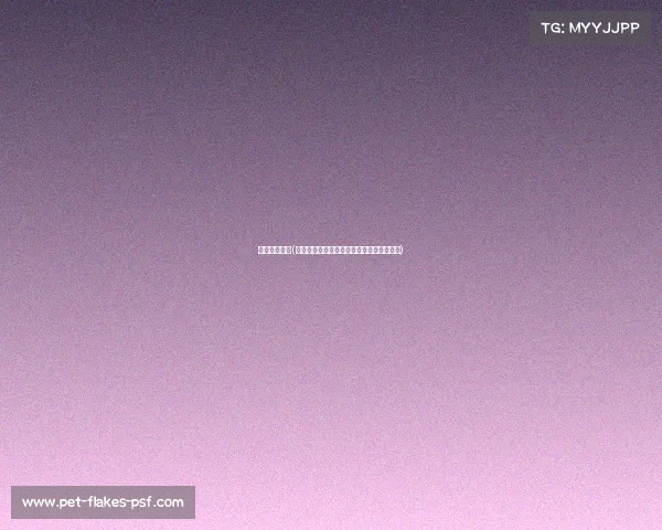 赛事地下车赛(地下车赛风云激荡都市暗夜极速王者争霸战)