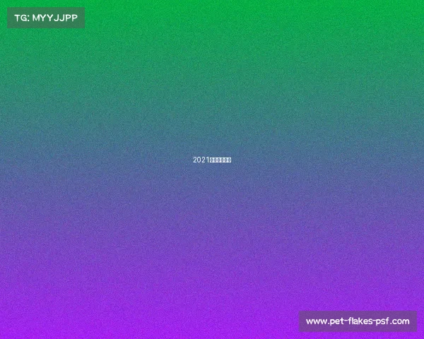 2021国家篮球比赛