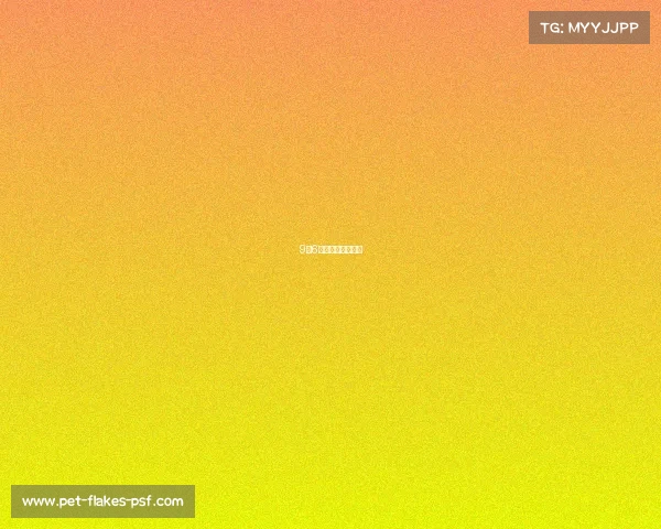 9月6日全运会赛事安排