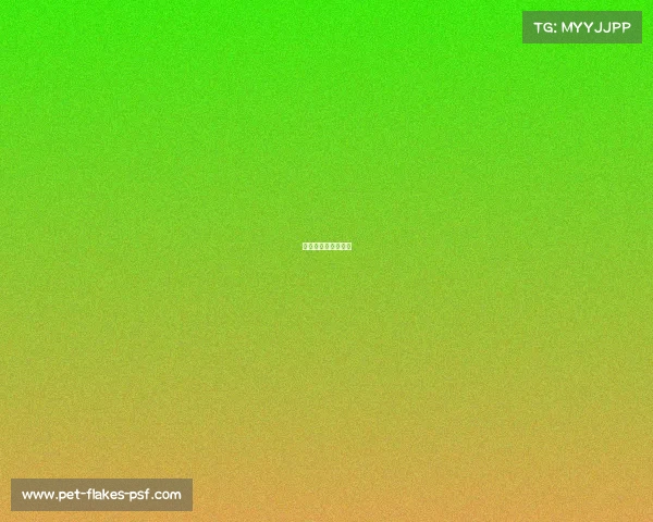 世界知名赛事有哪些