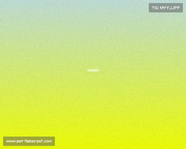 中国男篮队比赛