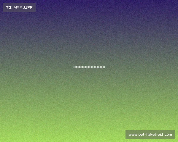 今日英锦赛足球赛事焦点前瞻强强对决激战正酣