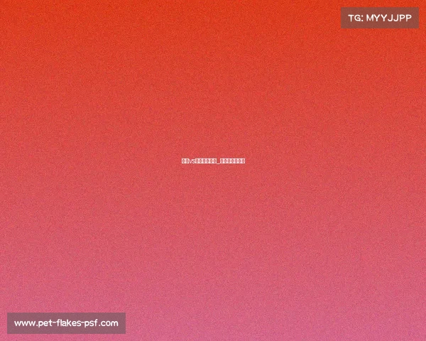 巴西vs美国今天赛事_巴西对美国足球