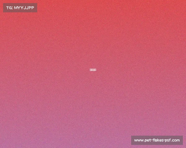 搏击认证 搏击认证