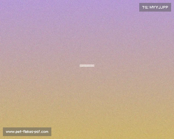 观看直播体育比赛英文