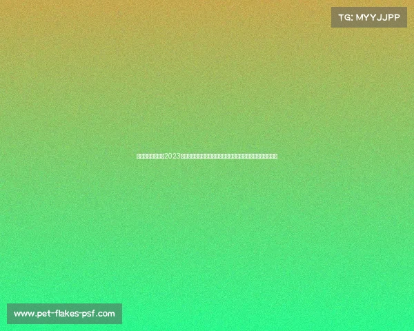 游戏线下赛事统计2023年全球电子竞技线下大型赛事参与者胜率观众互动统计综合研究