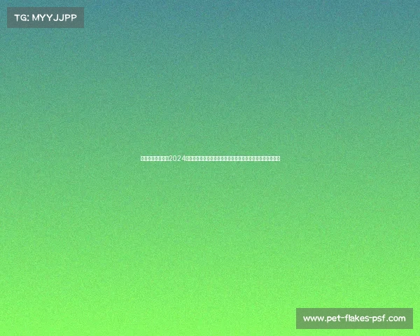 橄榄球比赛开始、2024橄榄球赛事策划高峰会议深度剖析组织流程与观众吸引力提升