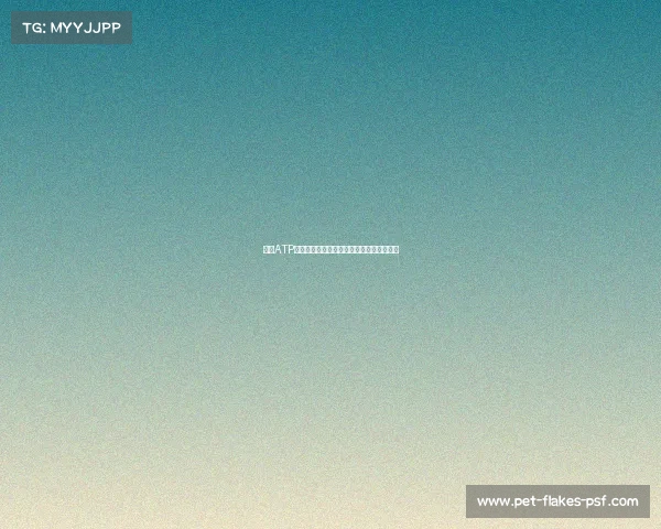 网球ATP全新赛事荣耀开启引领男子职业网球新潮流