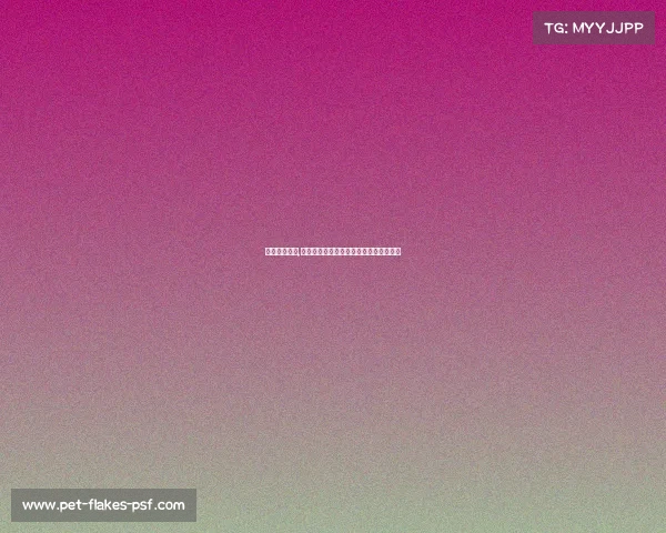 科比最新赛事,科比最新赛事精彩回顾全球瞩目激情永恒