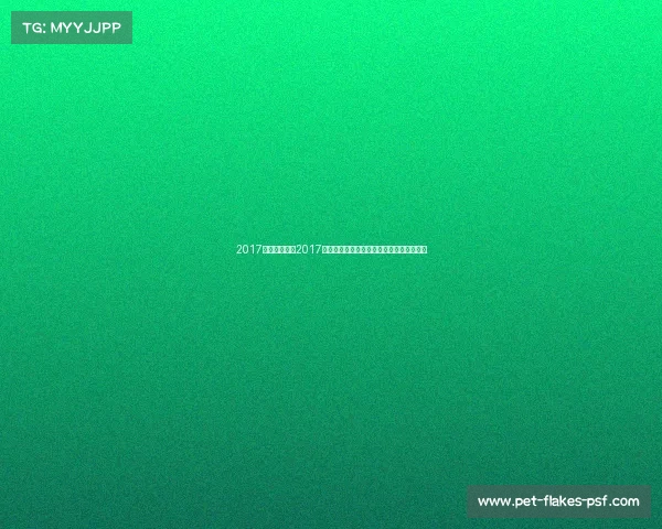 2017广东体育赛事2017年广东体育盛事精彩回顾辉煌成就全面纪实