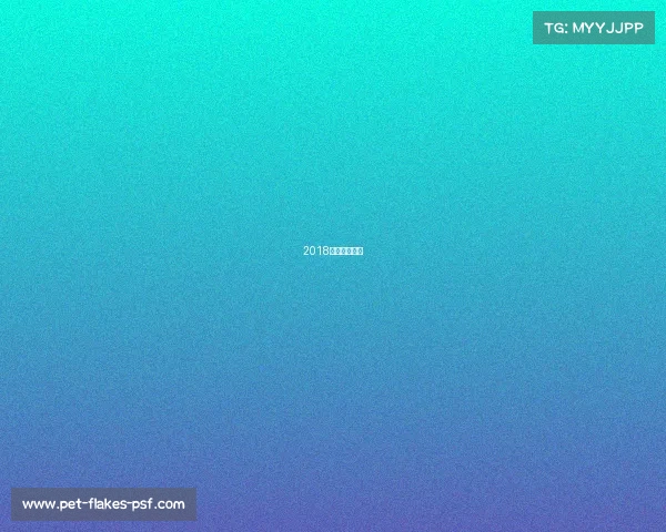 2018飞龙杯秋杭州