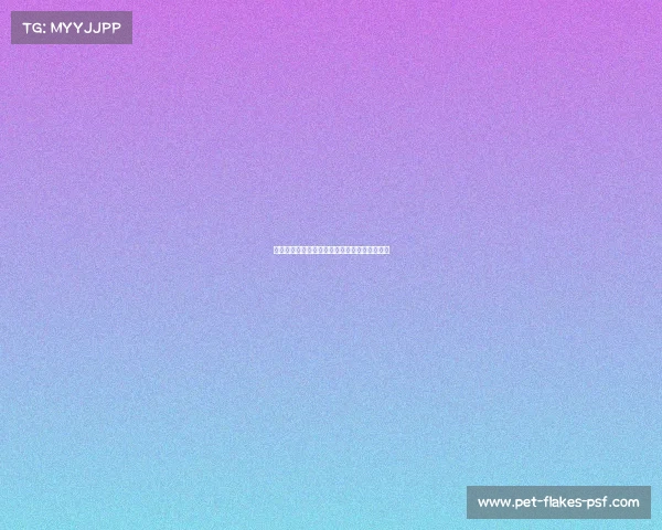 中国田径协会金标赛事盛典：顶尖跑者荣耀征程