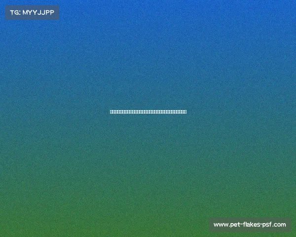 粤港澳大湾区清远站体育盛会激情开赛引领全民健身潮流共创活力城市 粤港澳大湾区清远站体育盛会激情开赛引领全民健身潮流共创活力城市