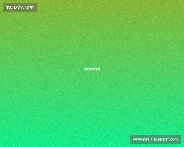 西班牙对伊朗比赛结果